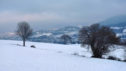 Wintery, snowy mountain slopes in the Black Forest