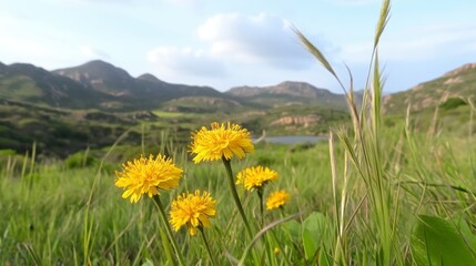 Fototapeta premium Vibrant yellow wildflowers in the foreground, tall grasses, and a tranquil lake nestled among rolling hills under a bright sky.