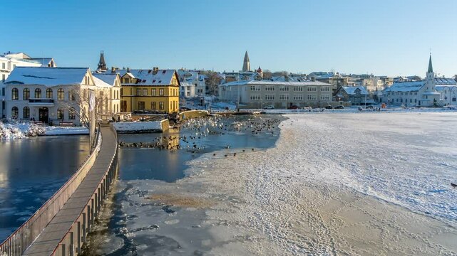 Time lapse of wildlife on Tjornin lake, Lutheran Free Church and Hallgrimskirkja in background in winter, Reykjavik, Iceland