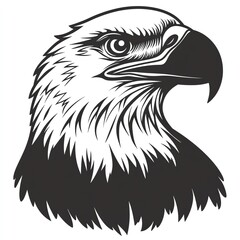 Obraz premium A regal eagles head, rendered in striking black and white, commands attention with its intense gaze and detailed plumage. A powerful symbol of freedom.