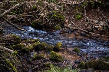 A clean, clear stream in a forested area. A small brook flows through a wooded area. Moss-covered rocks line the edges of the stream, and bare branches are scattered around.