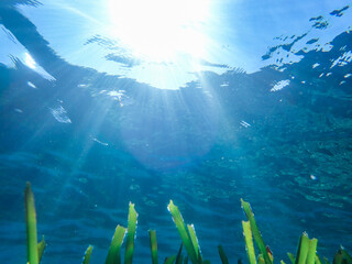 Dark blue ocean surface seen from underwater. Abstract waves underwater and rays of sunlight...