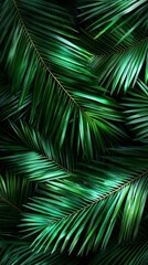 Illustration capturing the beauty of tropical palms from above