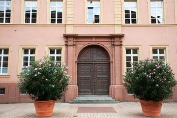 Fototapeta premium Modern classic retro building at Speyer town in Rhineland Palatinate, Germany