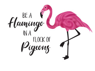 Be flamazing in a flock of pigeons quote. Flamingo bird quote with cute flamingo standing on one foot isolated on a white background.