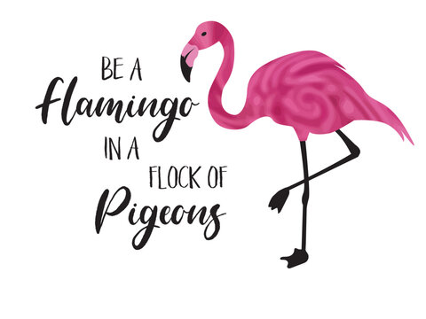 Be flamazing in a flock of pigeons quote. Flamingo bird quote with cute flamingo standing on one foot isolated on a white background.