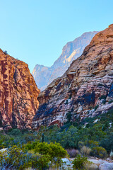 Rugged Red Rock Canyon Layers with Desert Vegetation Eye-Level View