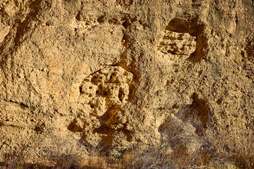 Eroded Cliff Face with Sparse Shrubs in Nevada Desert Eye-Level View