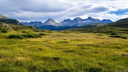 Fototapeta premium Vast green meadow in the mountains under a beautiful cloudy sky during summer : Generative AI