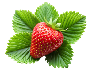 strawberry isolated on transparent background png