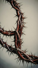 Obraz premium Crown of thorns, perfect for simple Easter Christian backgrounds.