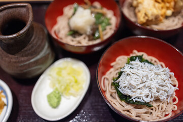 Japanese teishoku meal featuring soba noodles in red bowls with various toppings such as shirasu (baby sardines), spinach, grated daikon and tempura