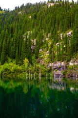 Obraz premium Sunken forest of Lake Kaindy in Kazakhstan. Beautiful mountain natural landscape. A blue lake with tree trunks sticking out of it. Panoramic view of the reserve.
