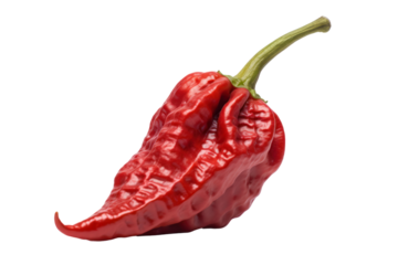 A whole Budai Csipos paprika with a natural split along the pod, isolated on white background