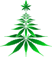 Bush marijuana Christmas tree silhouette. Cannabinoid. Hemp for the treatment of marijuana oil. Cannabis. Vector illustration on isolated background