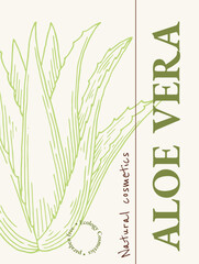 Aloe vera vertical poster, card design template concept. Natural cosmetics ingredient. Hand drawn ink sketch plant from package design. Ecology concept in beauty industry.