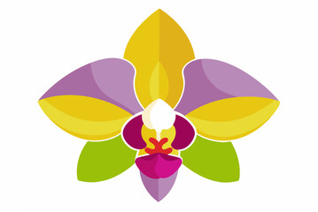 orchid isolated on white