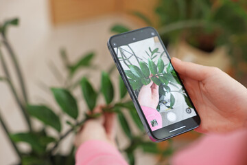 Woman using houseplant recognition application on smartphone indoors, closeup. Space for text
