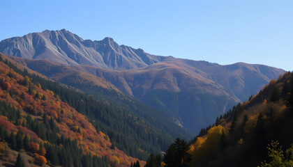 Obraz premium Beautiful valley mountain hill with seasonal colorful trees, angled photoshot. White tone