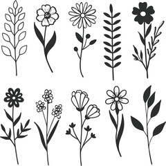 Floral Silhouettes Collection