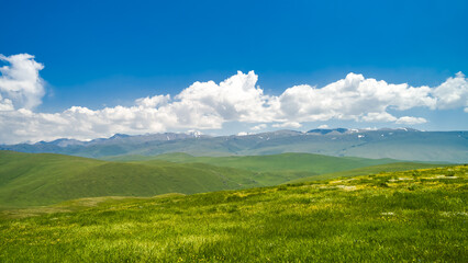 summer in the mountains. green mountain peaks