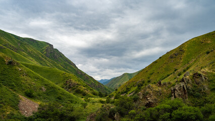Fototapeta premium summer in the mountains. green mountain peaks