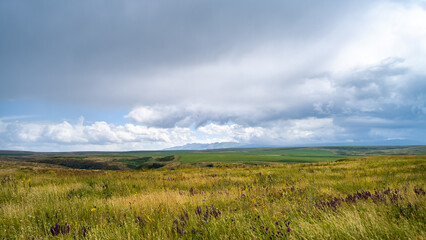 green fields at the foot of the mountains