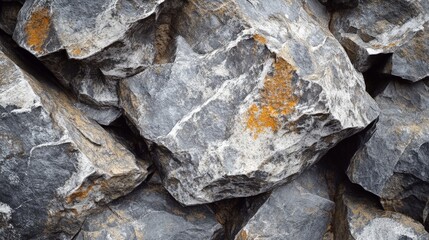 Stone Pathway Textures for Design