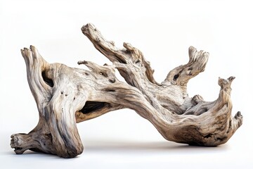 Weathered driftwood with intricate knots on clean white background