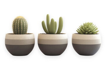 Potted cactus and succulents isolated. A trio of decorative cacti and succulent plants in modern two-tone ceramic pots. AI generated.  .