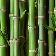 Obraz premium Serene Green Bamboo Forest: A Seamless Natural Pattern for Backgrounds and Design