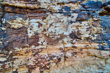 Weathered Rock Texture Closeup in Oak Creek