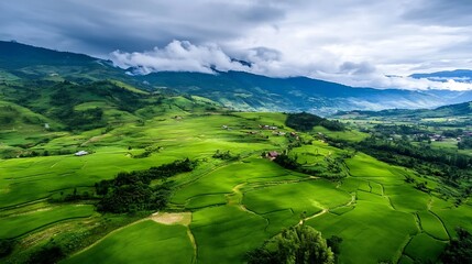 Obraz premium Vibrant green rice terraces stretching across the landscape under cloudy skies : Generative AI