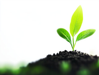 Naklejka premium young plant sprouting from dark soil, symbolizing growth and sustainability