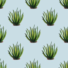 A repeating pattern of green aloe vera plants on a Pastel Blue background. Each plant features long, pointed leaves with a gradient of green shades, creating a vibrant and fresh look.
