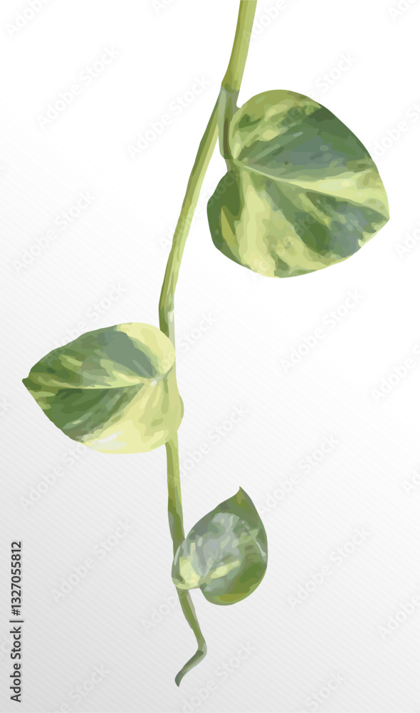 Poster image vector object of a sprig of golden pothos leaves, isolated on a gray gradient color background