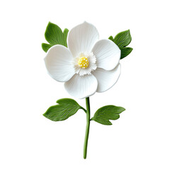 Obraz premium White Flower Sculpture Made of Playdough on a Solid Background Showcasing Intricate Details and Texture