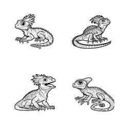 Basilisk Lizard...