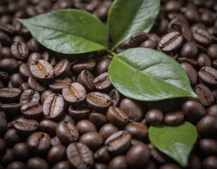 A large, beautiful pile of coffee beans garnished with green leaves on top
