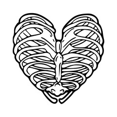 human ribs heart shape design