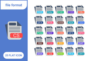 File Format, File extension, document type, doucment extension Flat Icon Set, Collection of 25 File Format, File extension, document type, doucment extension Flat Icon Set &ndash; 25 PDF, DOC, and Media