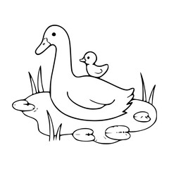cute duck and duckling illustration