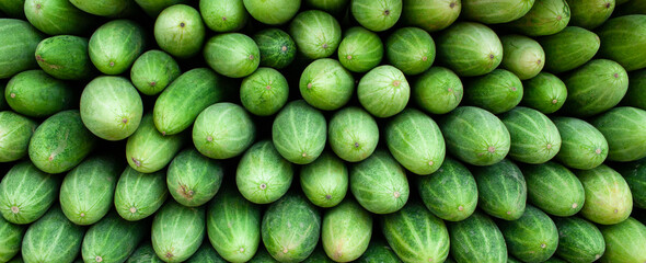 Closeup fresh cucumber background, healthy diet food, banner style