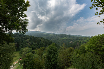 Bosco di conifere durante una tempesta per panorami