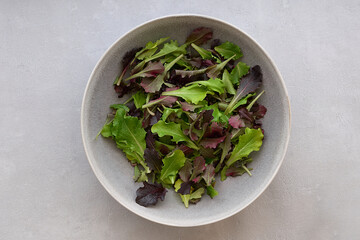 Mixed leaf salad mix on grey background.          
