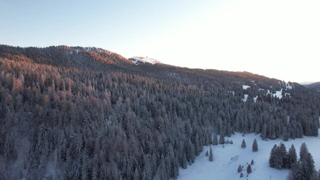 Aerial view of a serene winter forest covered in snow with majestic pines, La Dole, Saint-Cergue, Vaud, Switzerland.