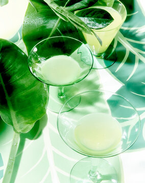 cocktail green light soft focus vintage lime jungle plants