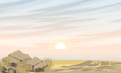 Sandy seashore at dawn. Stones and dry grass on the coast. Realistic vector landscape