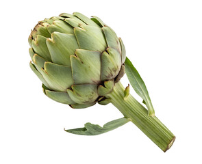 Fototapeta premium Fresh artichoke vegetable isolated on a white transparent background, clean cutout, perfect for culinary, organic food, and healthy eating themes, ideal for stock photography or product design