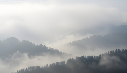 Obraz premium misty mountain range covered with white mist, professional photography. White tone